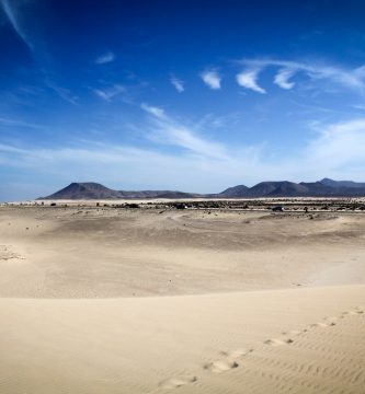¿Qué hacer en un día en Fuerteventura?